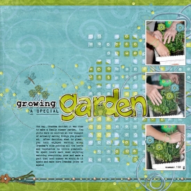 A-Special-Garden.jpg