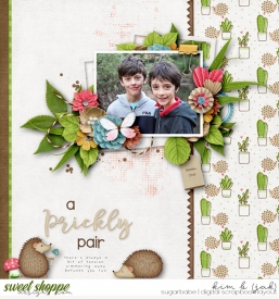 A-prickly-pair_b.jpg