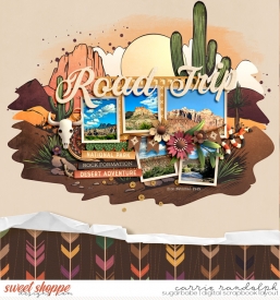 ADA_ScrapMaps14WebWM.jpg