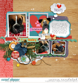 ADogsLifeToo_ScrapMaps2WebWM.jpg