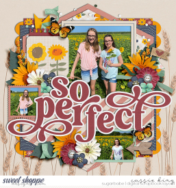 AYD---A-Special-Love-_CS-ED-Single-60_.jpg