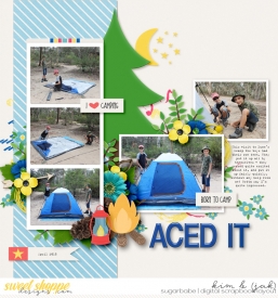 Aced-it_b.jpg