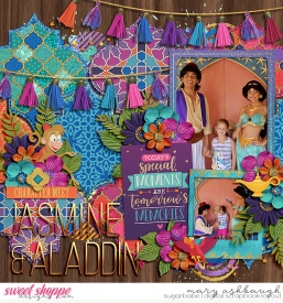Aladdin_SSD_mrsashbaugh.jpg