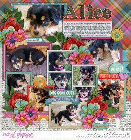 Alice_SSD_mrsashbaugh1.jpg