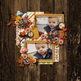 AmberShaw_AutumnAmazment.jpg
