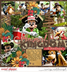 AnimalKingdom_SSD_mrsashbaugh.jpg