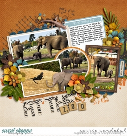 AttheZoo_TAN4photoV4WebWM.jpg
