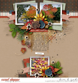 Autumn-leaves_b1.jpg