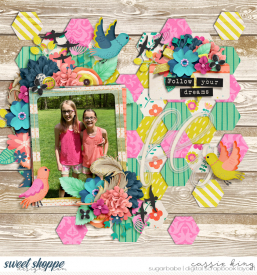 BG_-RR-Like-a-Bird-_CS-Single-227_.jpg