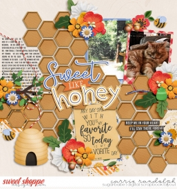 BIM-HoneyBear_TP35WebWM.jpg