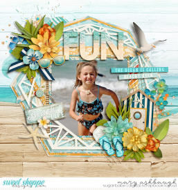 Beach_SSD_mrsashbaugh3.jpg