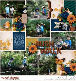 Bushwalk_b.jpg