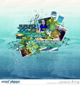 CL_-iNSD2018_DSI_Sea.jpg
