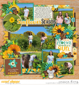 CMG-Sunflower-Sayings-_CS-PP-81_.jpg