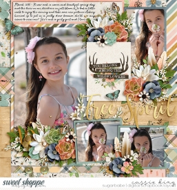 CS--HP223-_SF---Boho_.jpg