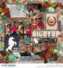 CS-GIS-8-_WPD---Born-to-Ride_.jpg
