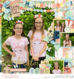 CS-HP-276-_TRD-So-eggcited_.jpg