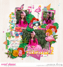 CS-HP-286-_DD-Flocking-Fabulous_.jpg