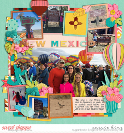 CS-PP-59-_KB-50-states---New-Mexico.jpg
