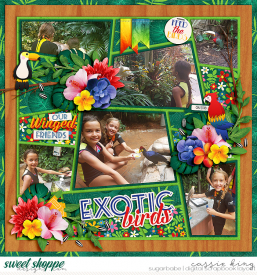 CS-Set-250-_MC-ATZ-Aviary_.jpg
