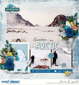 Canadian-arctic_b.jpg