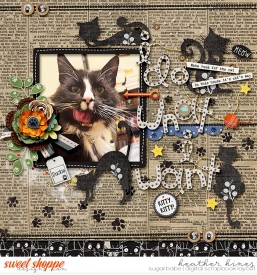 Cats-Meow-SB.jpg