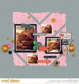 CattitudeWebWM.jpg