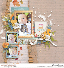 Charlene_kcb-AutumnPrelude_jphil-scraplikethis22.jpg