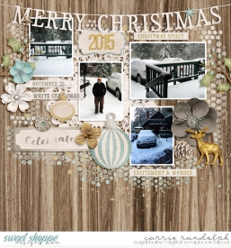 ChristmasSpiritWebWM.jpg