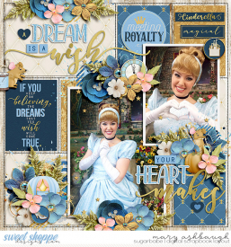 Cinderella_SSD_mrsashbaugh1.jpg