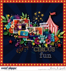 Circus-fun_b.jpg