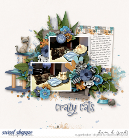 Crazy-cats_B.jpg