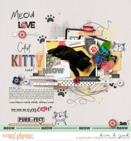 Cutest-kitty-ever_b.jpg