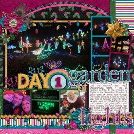 DD_2012_12_01-garden-of-lights.jpg
