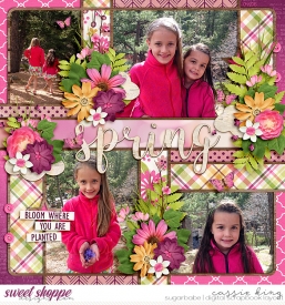 DSI--Bloom-and-Grow_-CS---HP-217.jpg