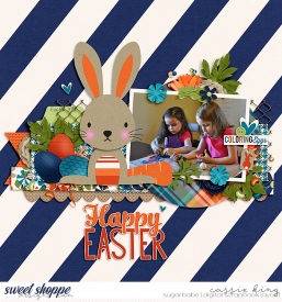 DSI--MIscellanous-12-_LP---14-Carrot_.jpg