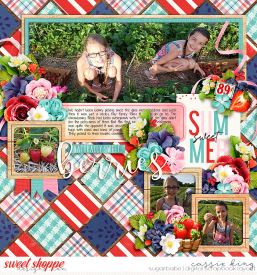 DSI-Berry-Picking-_CP-HP-355_.jpg