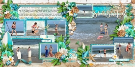 DSI_A_Seaside_Adventure_CS-DTF14_.jpg