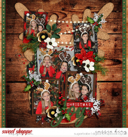 DSI_Christmas_Happiness_-_Country_Charm_CS_-_Set-254_.jpg