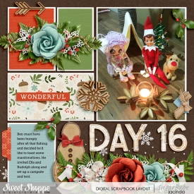 Day-16---Elf-on-a-shelf-700b.jpg