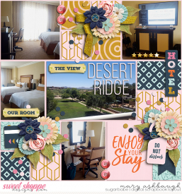 DesertRidge_SSD_mrsashbaugh.jpg