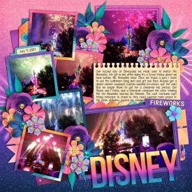 DisneyFireworks_SSD_mrsashbaugh.jpg