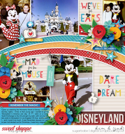 Disneyland_b.jpg