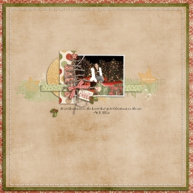 E-_Digital-Scrapbooking_My-Pages_Christmas-2012.jpg