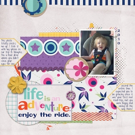 ENJOY_THE_RIDE1.jpg