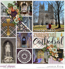 EZ-Captivating-Cathedrals-_WPD---Page-Protectors-20_.jpg