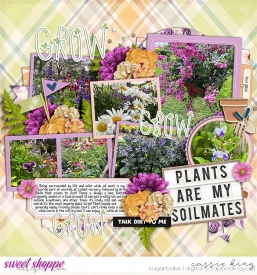 EZ_Soilmates_CS-palooza_515_.jpg