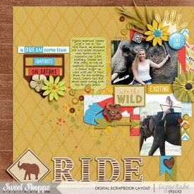 Elephant-Ride-700wm.jpg