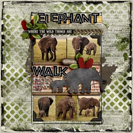 Elephant-Walk-WEB.jpg