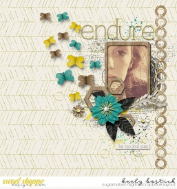 Endure-1-10-WM.jpg